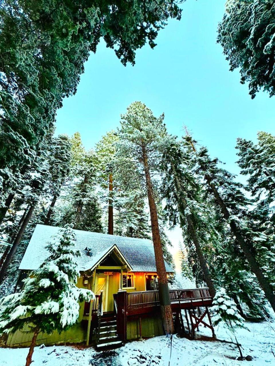 The Honey Bear Cabin Carnelian Bay Экстерьер фото